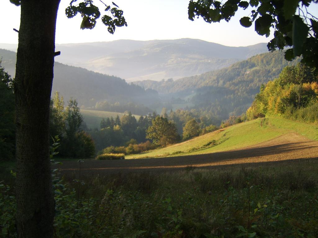 Agroturystyka Millerowka Kamionka Mala  Exterior foto