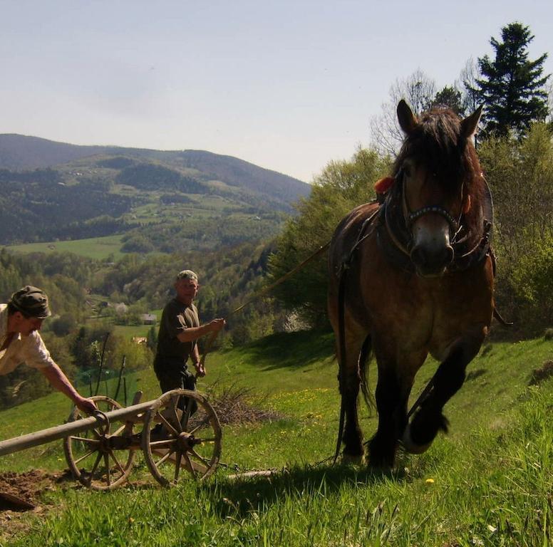 Agroturystyka Millerowka Kamionka Mala  Exterior foto